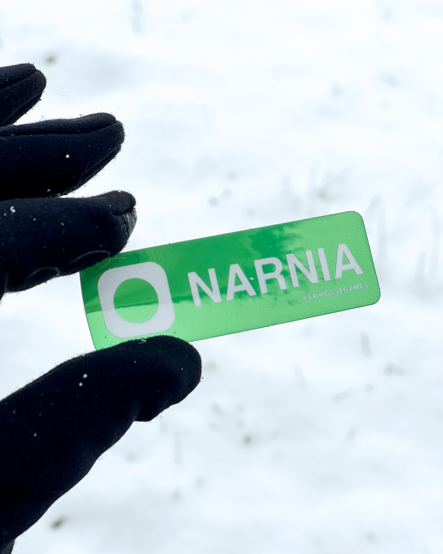 Narnia Holographic Ski Trail Sticker