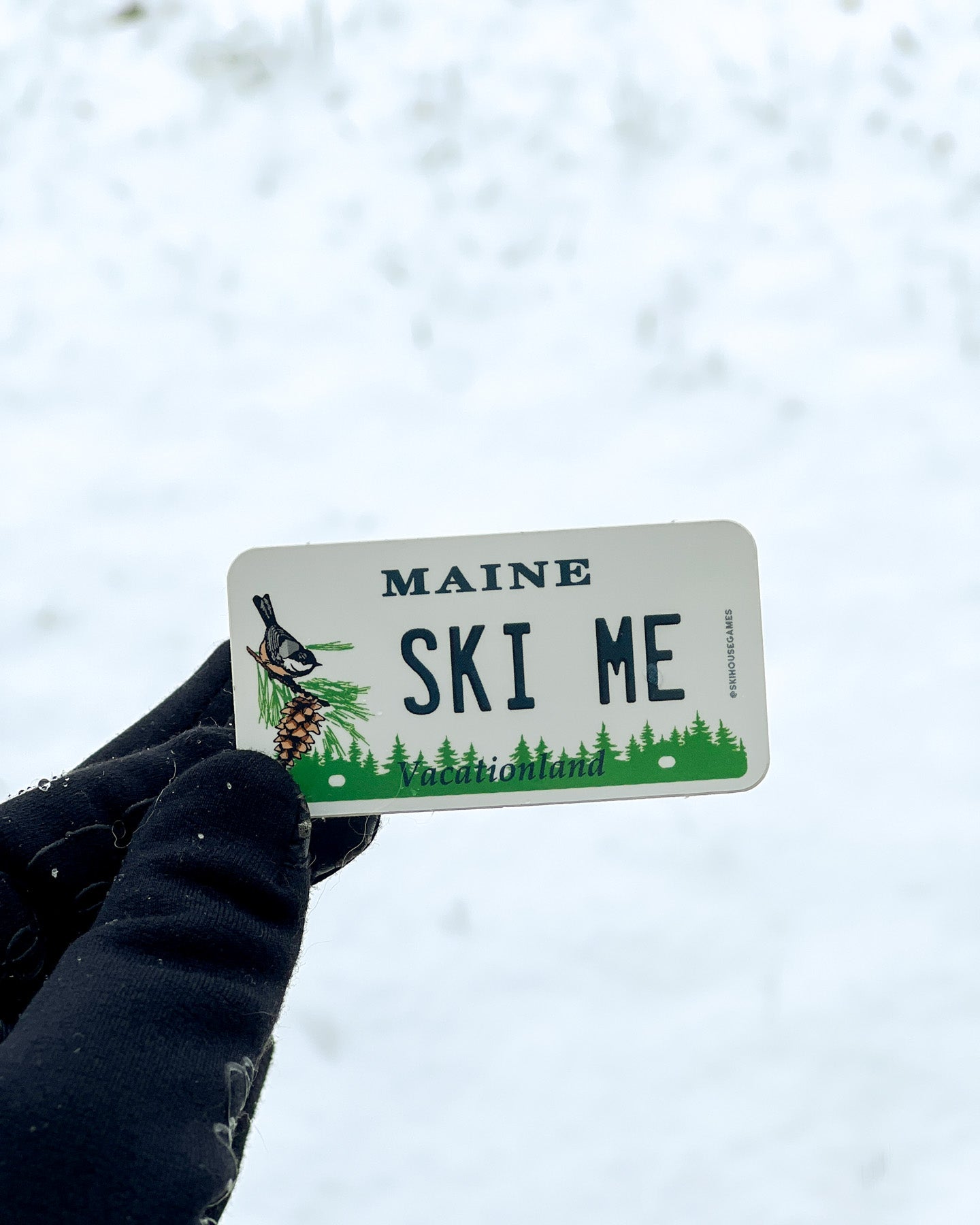 Ski ME - Maine License Plate Sticker
