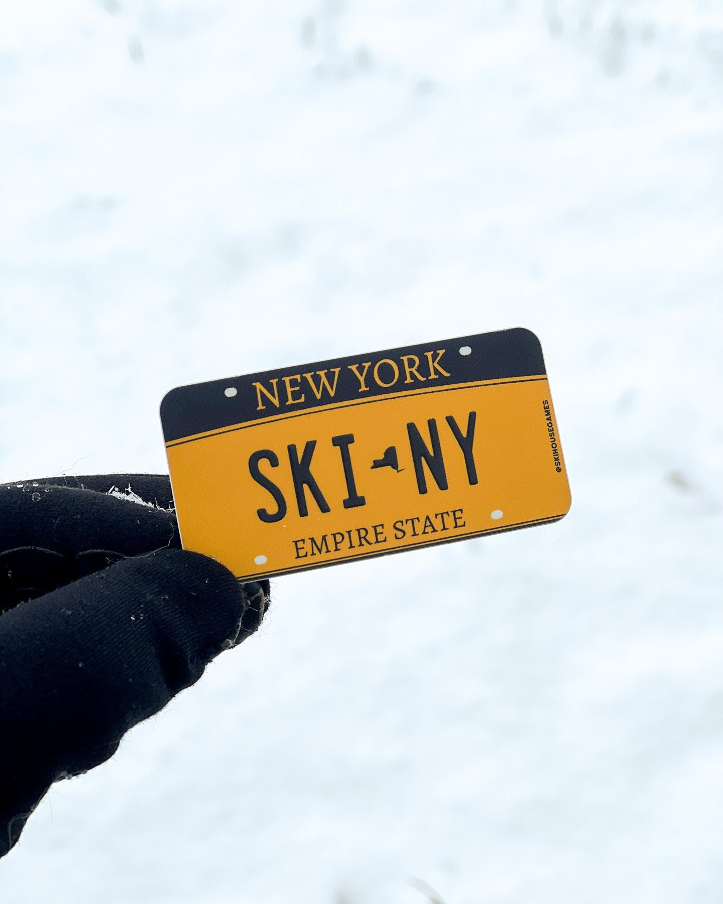 Ski NY - New York License Plate Sticker