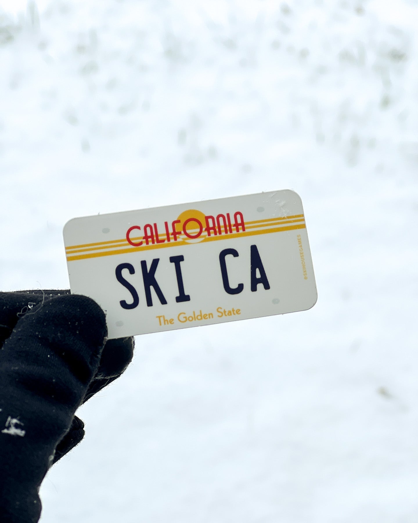 Ski CA - California License Plate Sticker