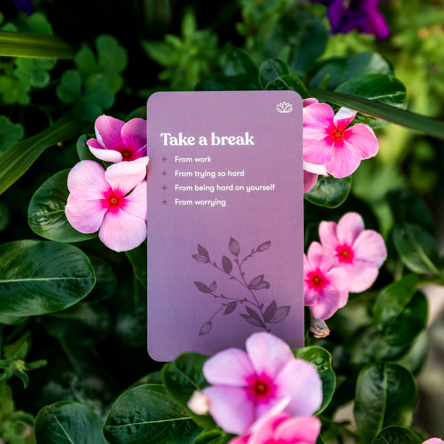 Self Care Adventure Cards | Mindfulness Deck