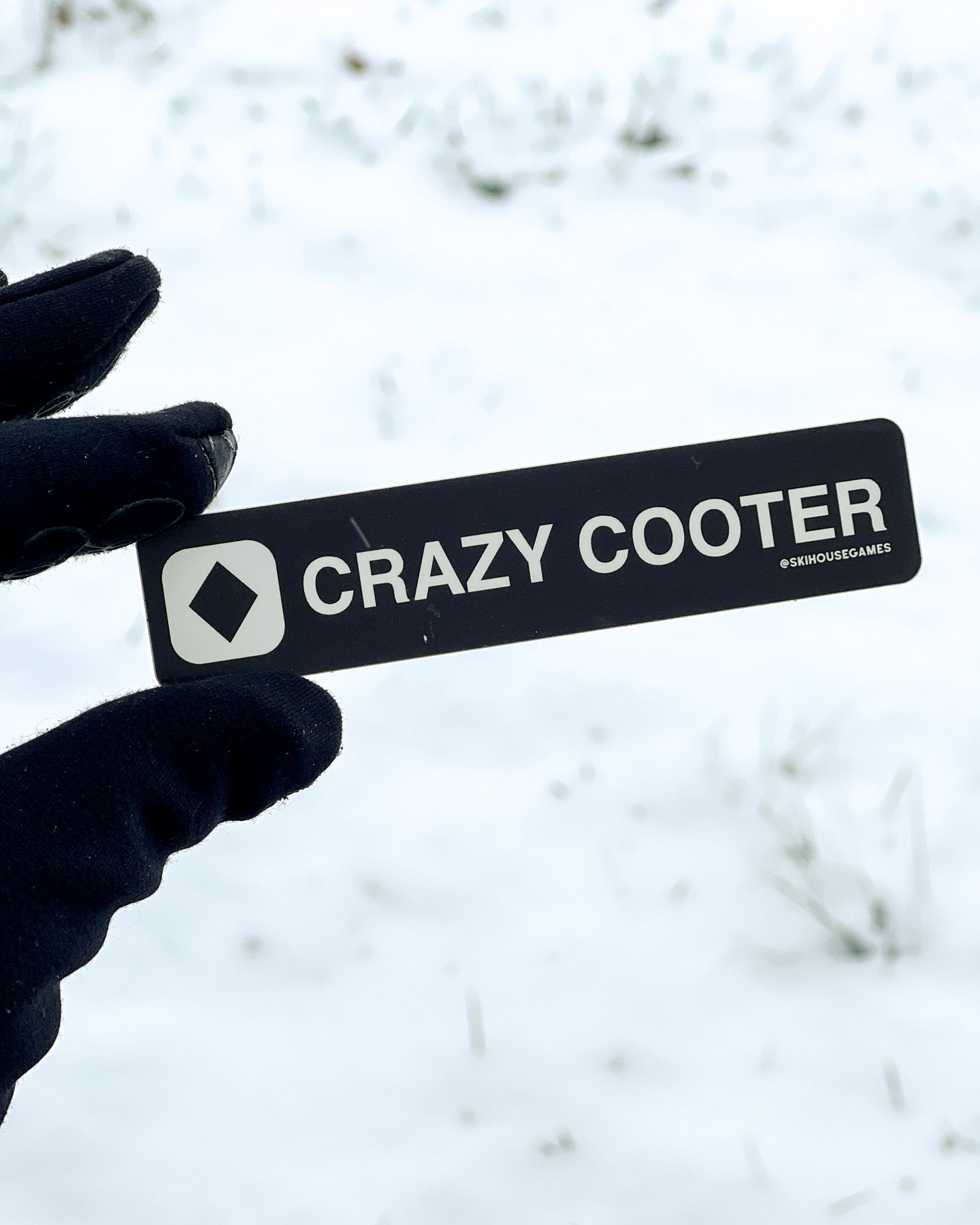 Crazy Cooter Holographic Trail Sign Sticker