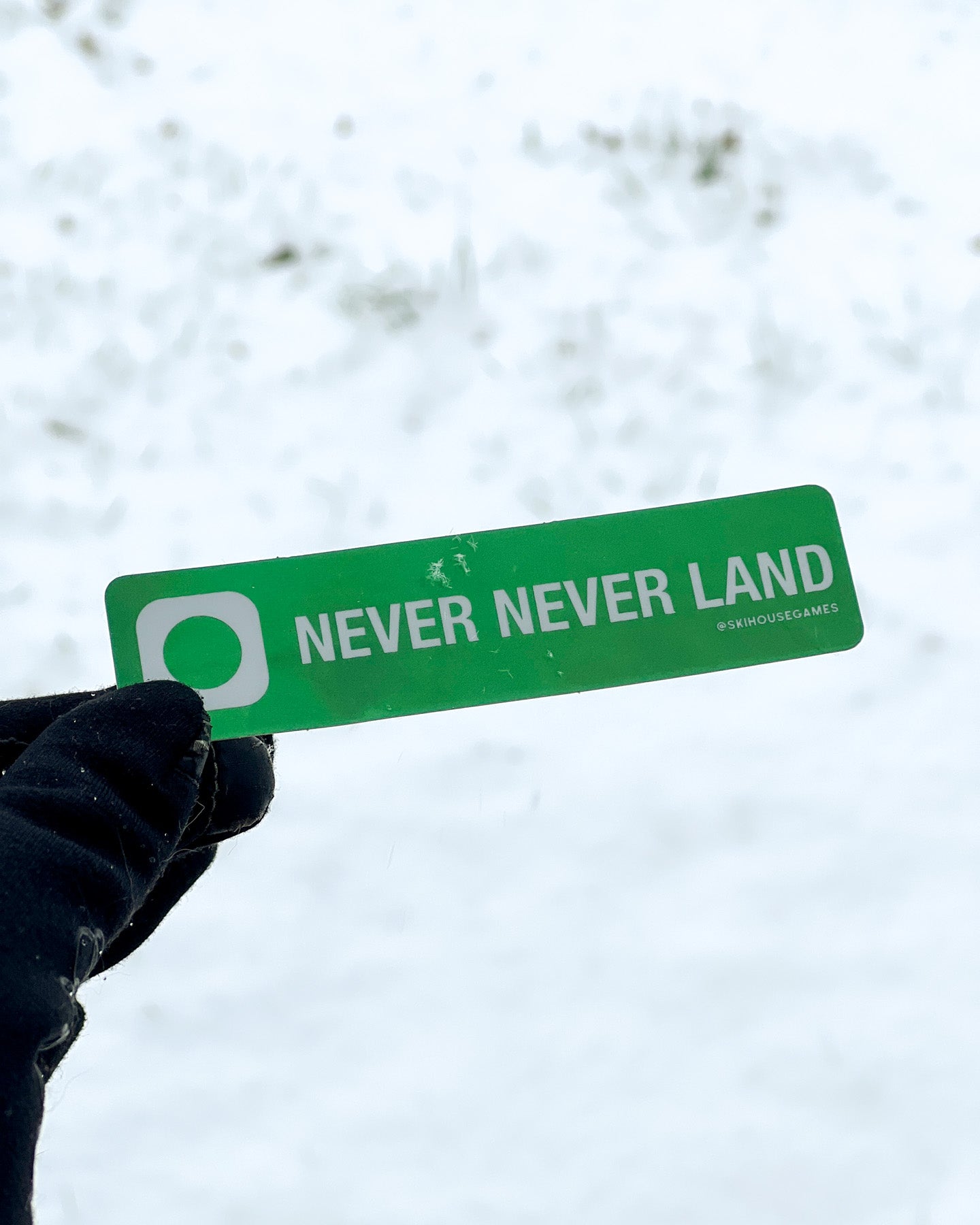 Never Never Land Holographic Ski Sticker