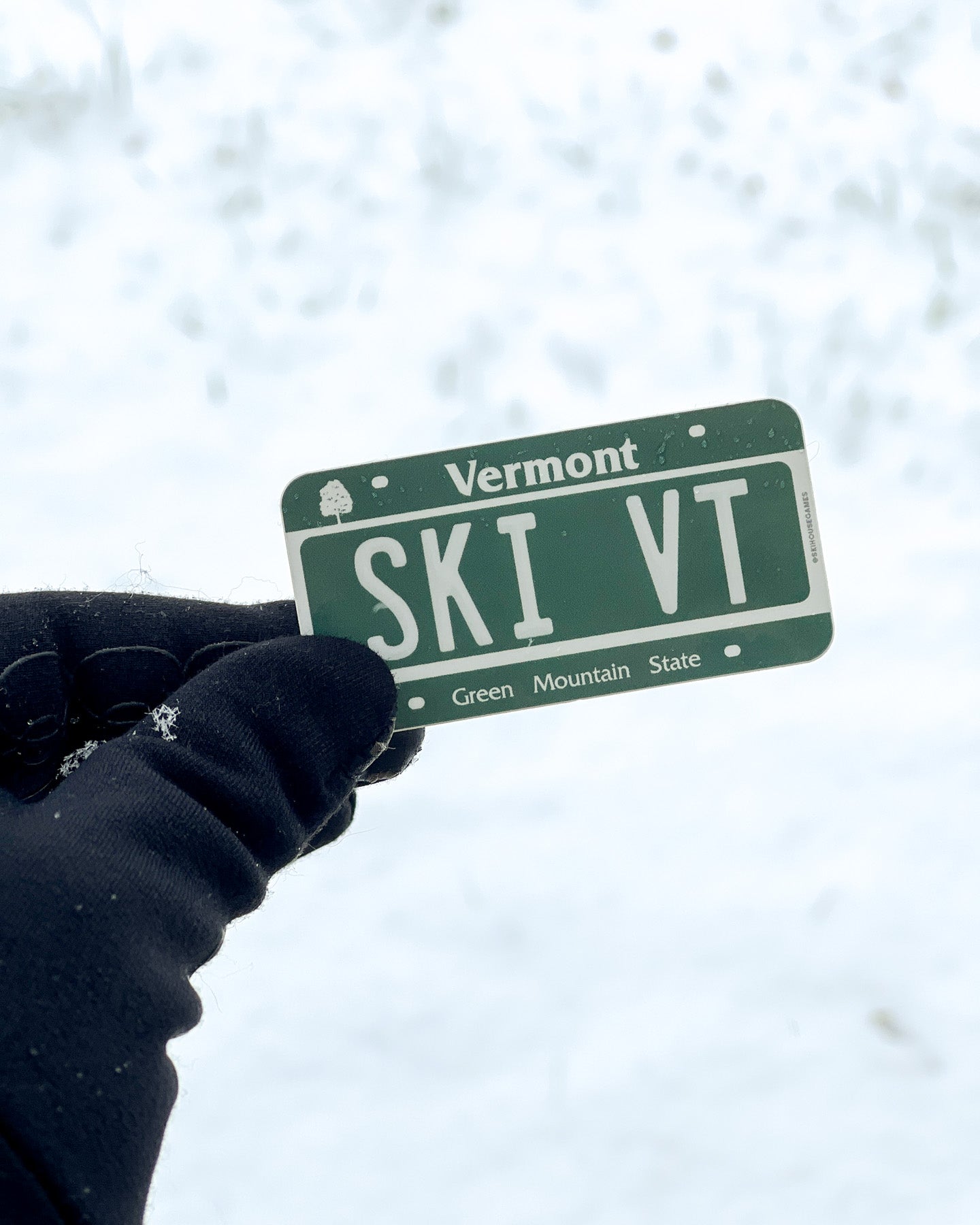 Ski VT - Vermont License Plate Sticker